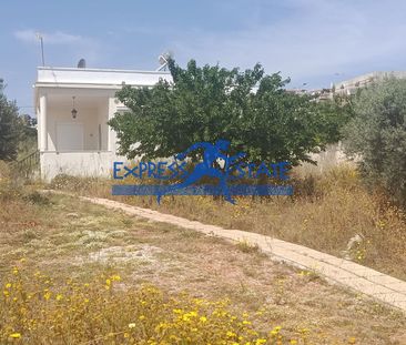 Μονοκατοικία για ενοικίαση Μάτι (Νέα Μάκρη) - Photo 4