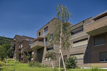 Moderne 3.5-Zimmer-Wohnung am Jurasüdfuss - Foto 2