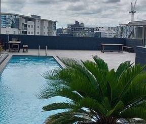 Penthouse, view of Sky Tower & the Domain - Photo 1