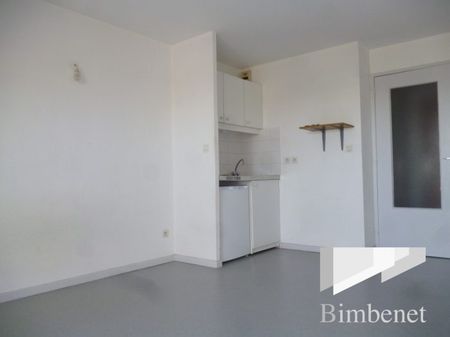 Appartement à louer, 1 pièce - Olivet 45160 - Photo 3