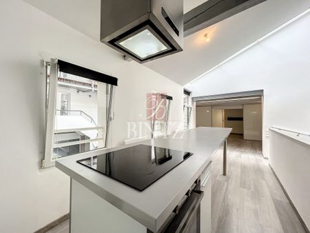 Location Appartement 2 pièces 67m² SAVERNE 67700 - Photo 4