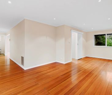 5 Bed, 2 Bath - Photo 1