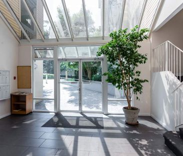 Chelsea Park Apartments - Photo 3