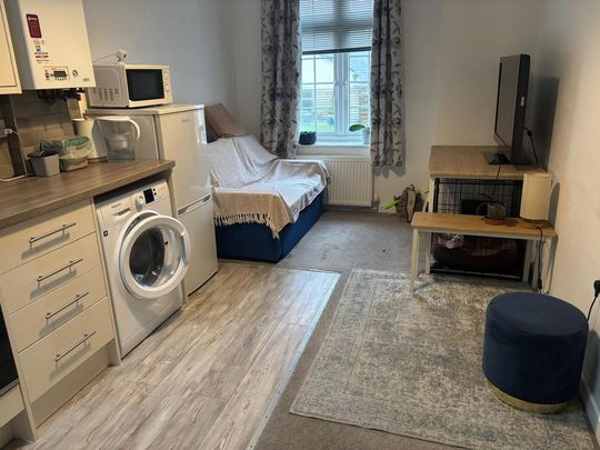 1 bedroom flat to rent - Photo 1