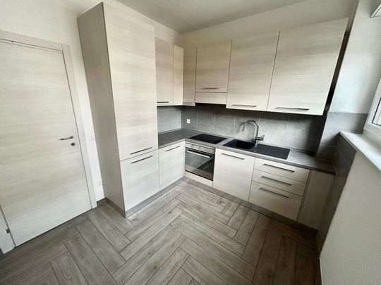 Affittasi moderno 2.5 locali ristrutturato in zona tranquilla Chiasso - Foto 1