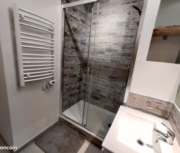 Location Appartement 1 pièce 24m² NIORT 79000 - Photo 2