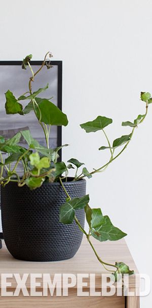 Madlyckevägen 48 - Foto 1