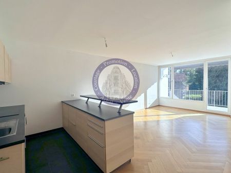 LUMINEUX AVEC GRAND BALCON-TERRASSE - Foto 3