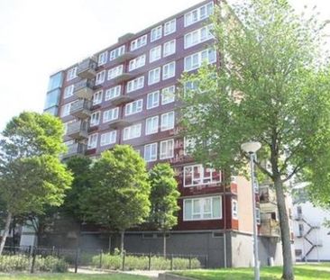 Baloeranstraat 3029 CE Rotterdam - Photo 3