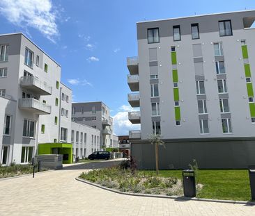 Quartier „Neue Naabwiesen“ – Attraktive Mietwohnung im Zentrum von ... - Foto 3