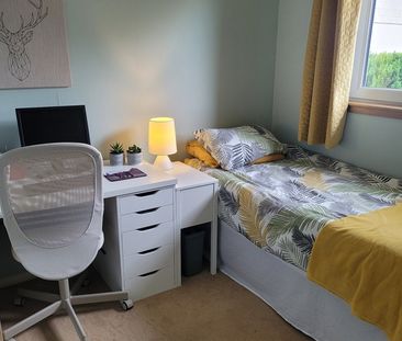 3 Bed End Terrace, Claremont Grove, AB10 - Photo 5