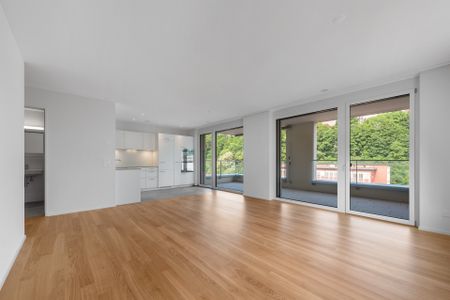 Wohnung im neuen Statdtteil in Schaffhausen - Foto 5