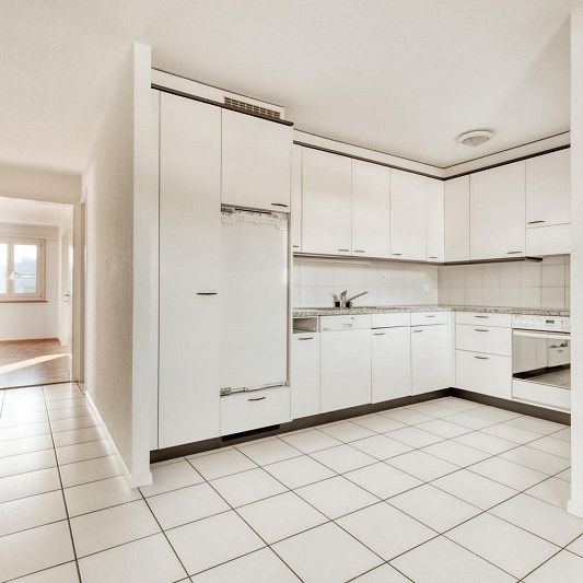 Leben neben der Schüssinsel - Vivre près de l'île de la Suze - Photo 1