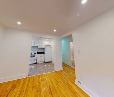 Pet-Friendly Large 1-bedroom in Verdun - Photo 3