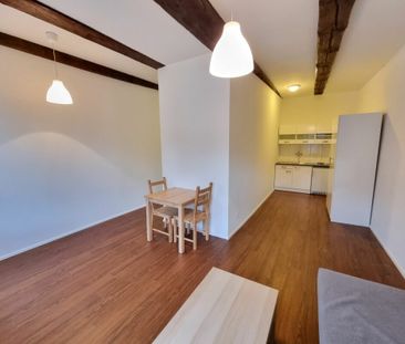 Petit mais agréable, en plein bord de Rhin ! - Photo 5