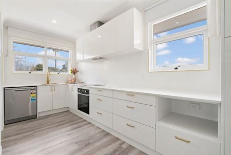 5/79 George St, Norwood SA 5067 - House For Rent | Domain - Photo 5