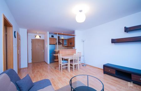 MIESZKANIE na WYNAJEM - Photo 4