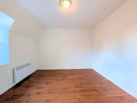 Rue Jeanne-Mance, H2X 2J8, Montréal - Photo 3