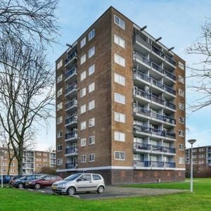 Zuidervaart 0ong, 1504 Zaandam, Nederland - Foto 2