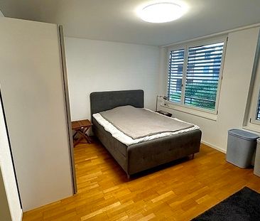 2½ Zimmer-Wohnung in Arth (SZ), möbliert - Foto 1