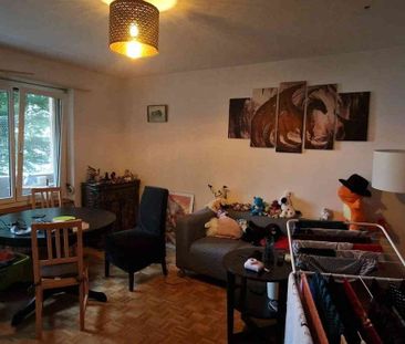 3 Zimmer, 60 m², 1. Stock - Foto 1