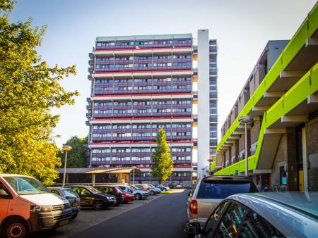 Chambre Van Lieflandlaan, Utrecht - À Louer - Foto 5