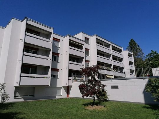 Modern single apartment near city center! - Photo 1