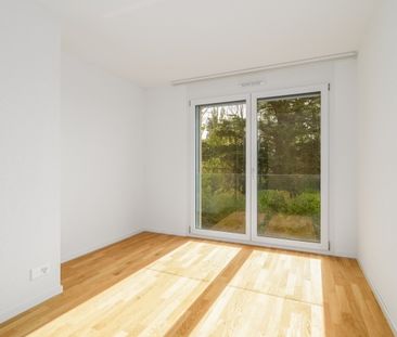 Apartment - Photo 3
