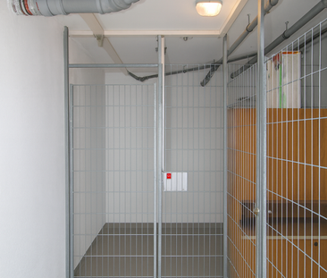 1. MONAT MIETFREI! 2-Zi. mit Balkon & Aufzug · Toplage · ab 01.12. ... - Foto 1