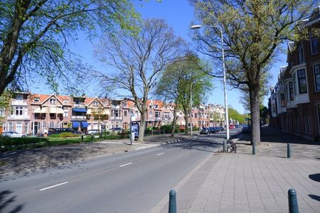 Te huur: Appartement Prins Mauritsplein in Den Haag - Photo 3