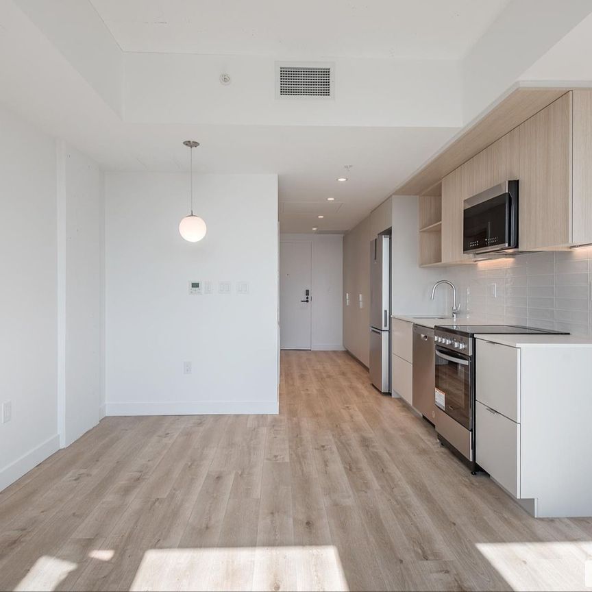 997, De La Commune, Griffintown à louer - Photo 1