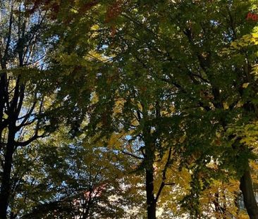 Bielsko-Biała, Osiedle Kopernika Mieszkanie na wynajem - Zdjęcie 4