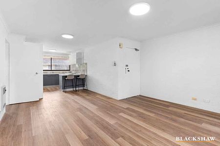 Newly Renovated Two Bedroom Unit in Chifley - Photo 3