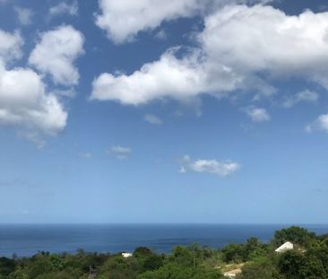Vieux Habitants, (97119) - Photo 2
