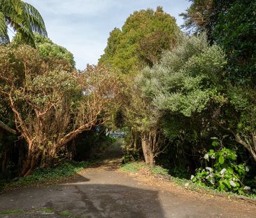 Secluded Sanctuary - Photo 6