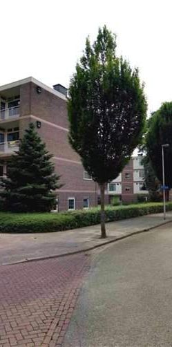 Chambre à louer au 18/A, Hugo Wolfstraat, Eindhoven - Foto 1