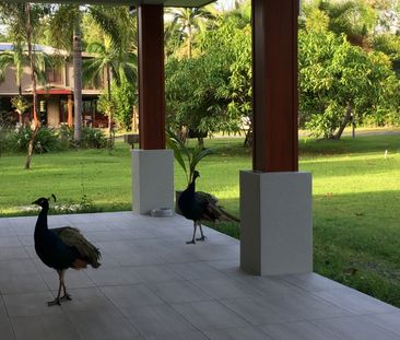 White Rock - Photo 5