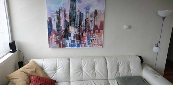 West End Furnished One Bedroom Available Now! - Photo 2