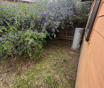 SIMPLE LIVING - Photo 5