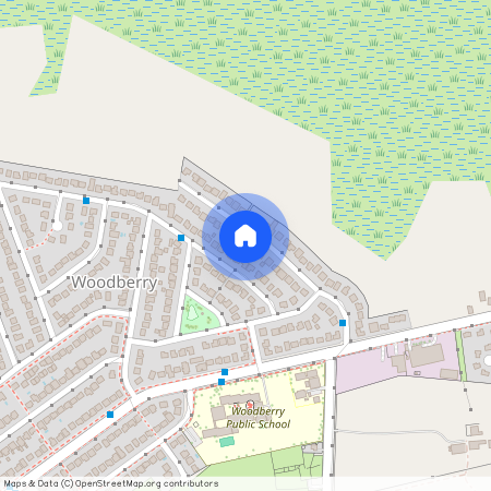 26 Greenway Avenue, NSW 2322, Woodberry