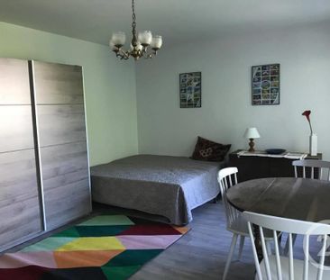 Location Appartement 1 pièce 28m² GIF SUR YVETTE 91190 - Photo 3