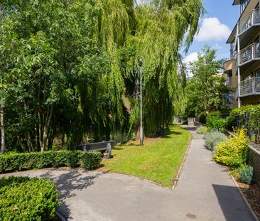 Rome House, Eboracum Way, York YO31 - Photo 5