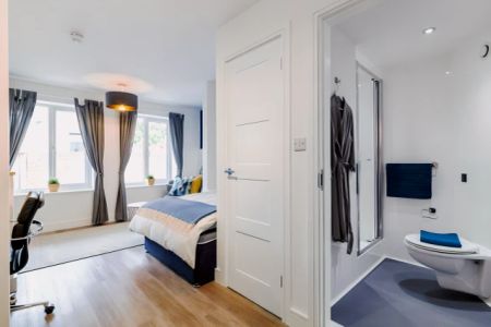 Standard Studio - Photo 4