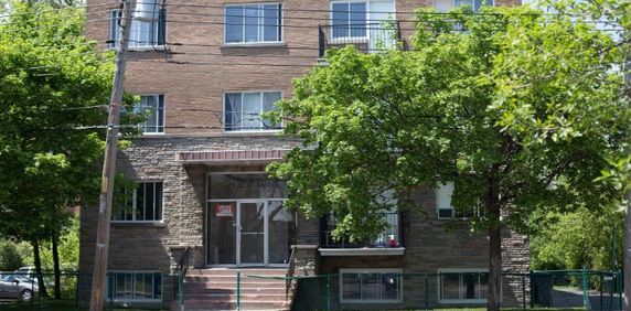 1 CH - 1 SDB - Montréal - $1,100 /mo - Photo 2