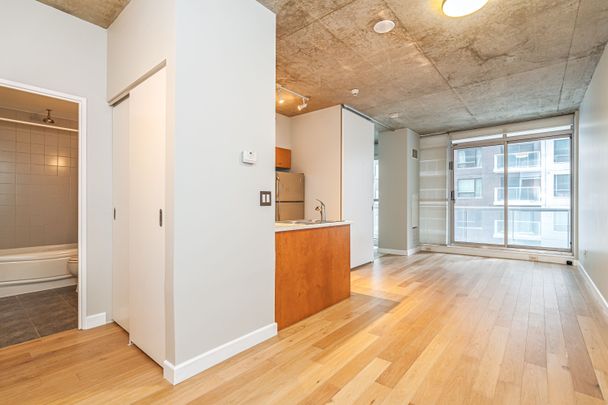 For Lease - 179 George Street Unit# 505, Lower Town - Sandy Hill, Ontario - Photo 1