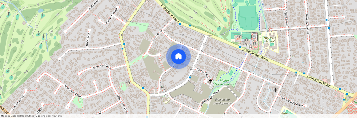 8 Revel Avenue, Mount Roskill, Auckland City