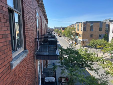 Appartement à Montréal (Rosemont/La Petite-Patrie) - Photo 3