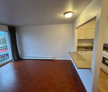 One Bedroom - East 49th Ave and Fraser St - Vancouver -1st month bonus - Photo 1