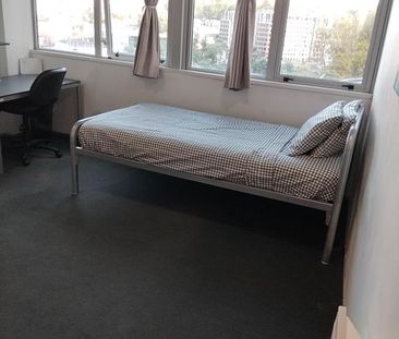 Central Auckland w/ Pool & Gym! - Photo 1