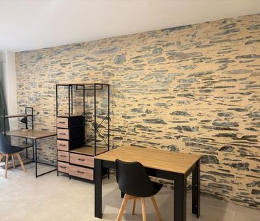 Appartement à louer, 1 pièce - Angers 49100 - Photo 3